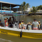 Tour Rio Magdalena Alicia Maria 2 horas