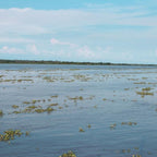Tour Rio Magdalena Magdatours Barco