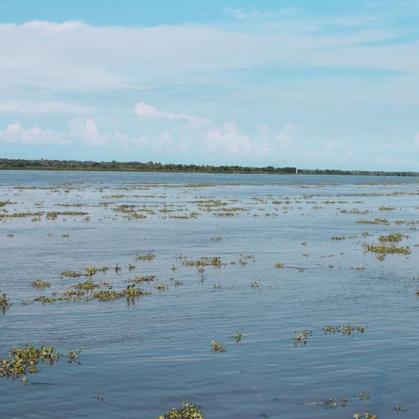 Tour Rio Magdalena Magdatours Barco